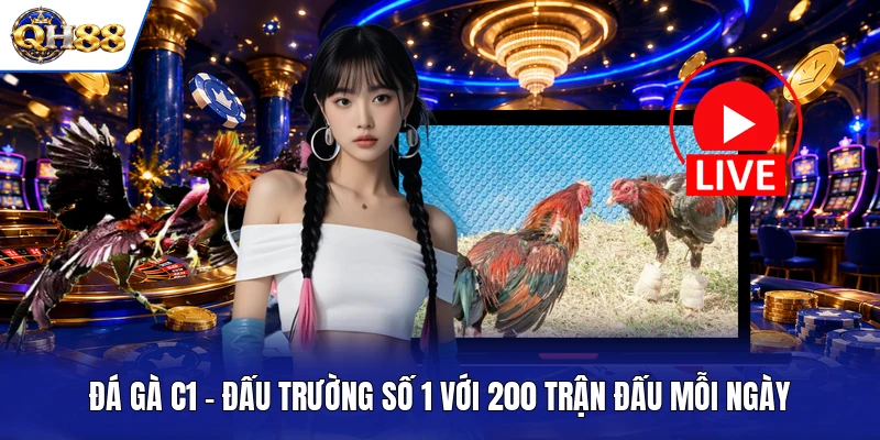 Đá Gà C1 - Đấu Trường Số 1 Với 200 Trận Đấu Mỗi Ngày