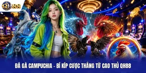 Đá Gà Campuchia - Bí Kíp Cược Thắng Từ Cao Thủ QH88