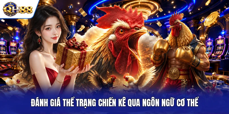 Đánh giá thể trạng chiến kê qua ngôn ngữ cơ thể Đánh giá thể trạng chiến kê qua ngôn ngữ cơ thể