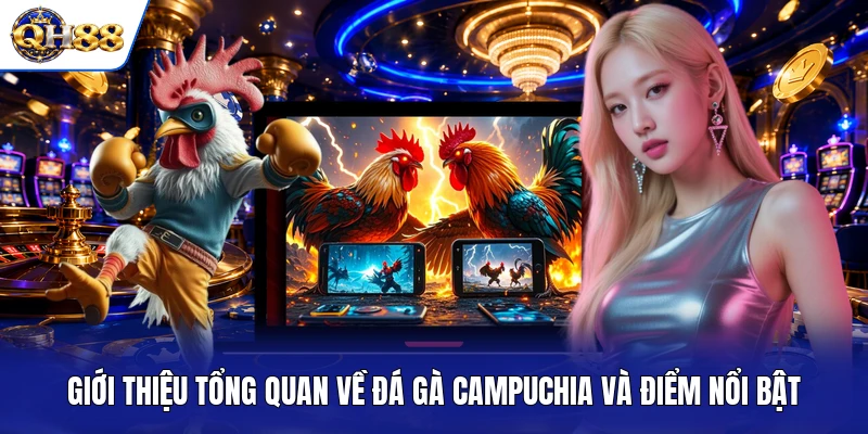 Giới thiệu tổng quan về đá gà Campuchia và điểm nổi bật Giới thiệu tổng quan về đá gà Campuchia và điểm nổi bật