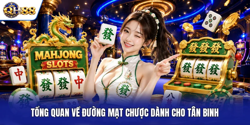 Tổng quan về Đường Mạt Chược dành cho tân binh Tổng quan về Đường Mạt Chược dành cho tân binh