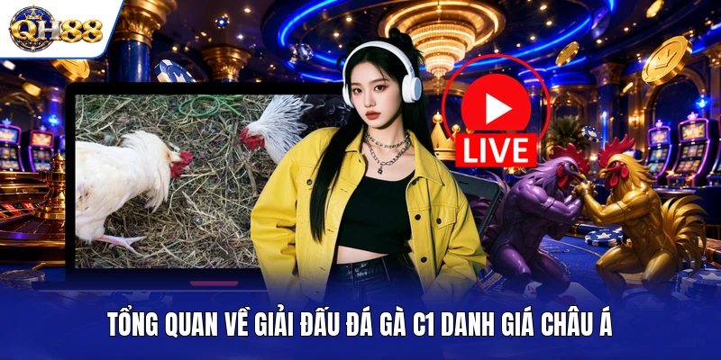 Tổng quan về giải đấu đá gà C1 danh giá châu Á Tổng quan về giải đấu đá gà C1 danh giá châu Á
